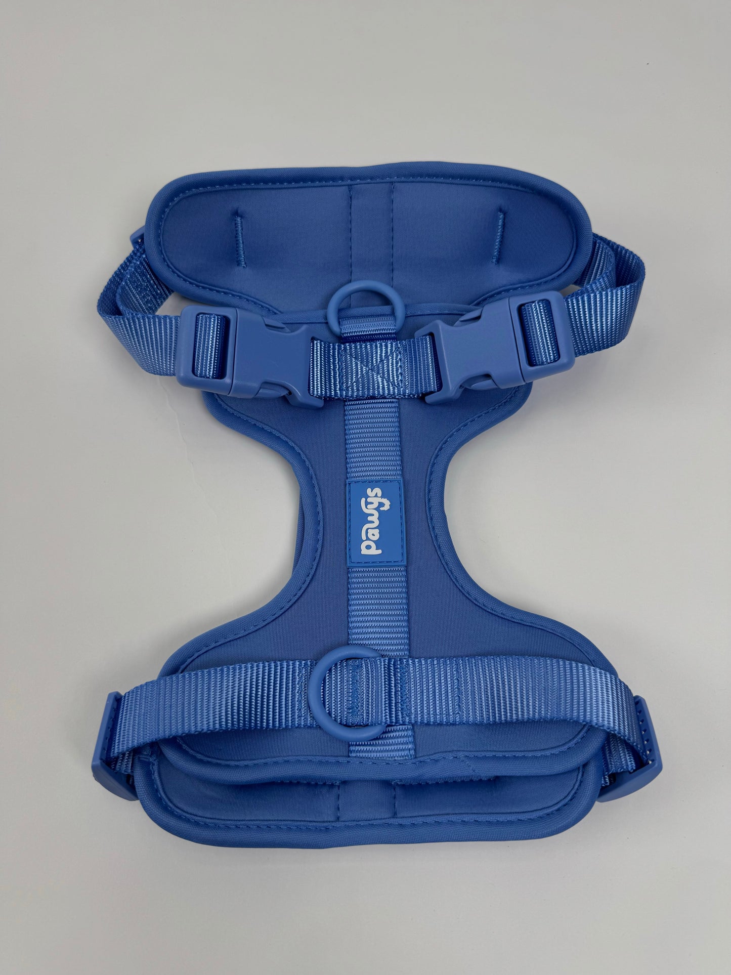 Harness - Electric Blue