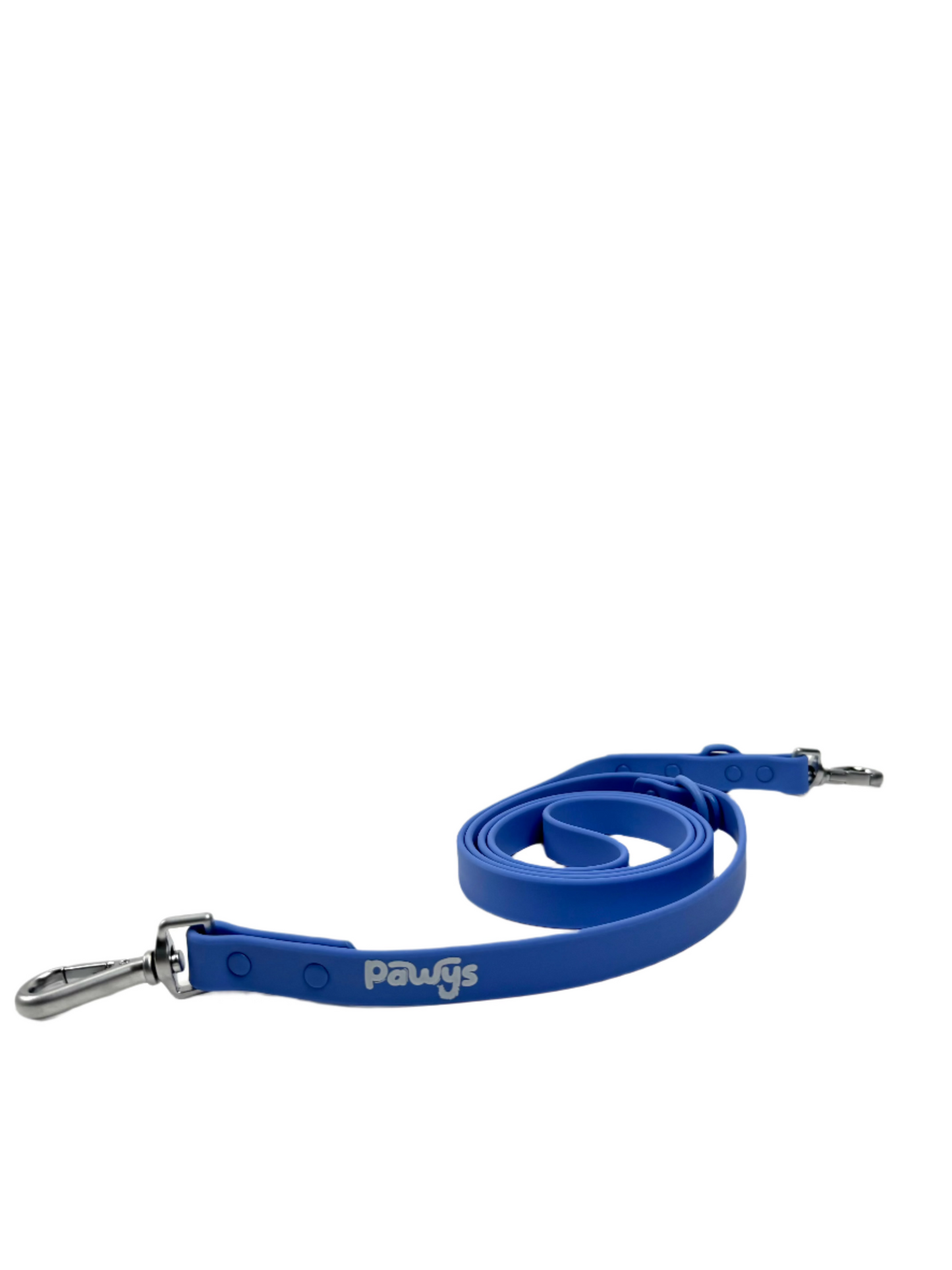 Leash-Electric Blue