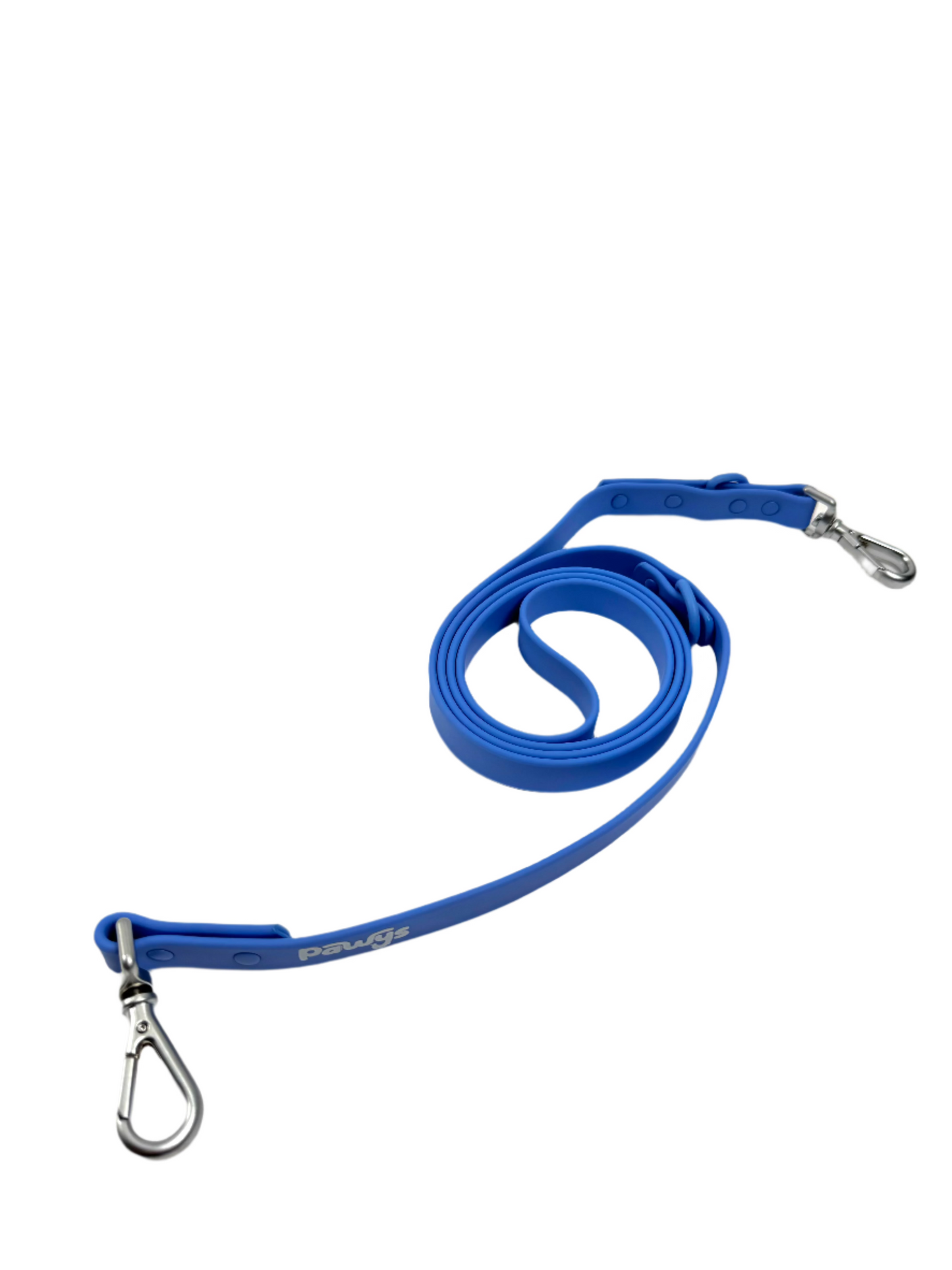 Leash-Electric Blue