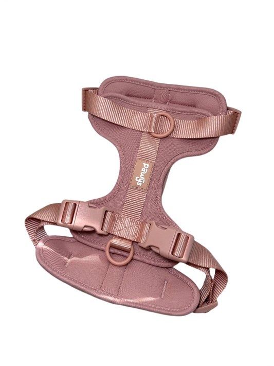 Harness-Rose Gold